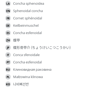 Translations