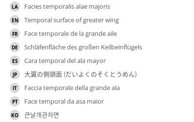Translations