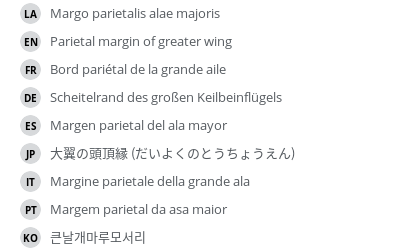 Translations