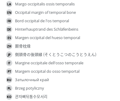 Translations