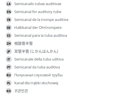 Translations