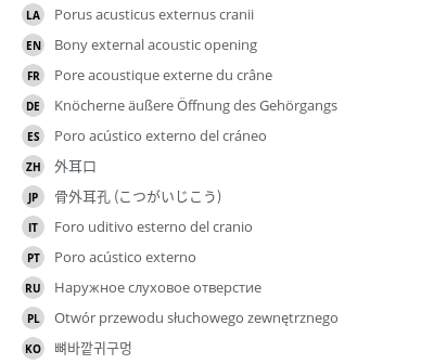 Translations