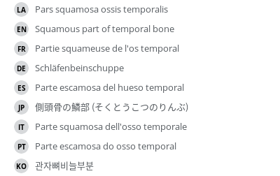 Translations