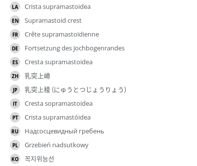 Translations
