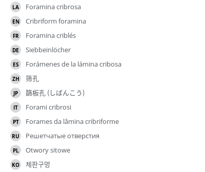 Translations