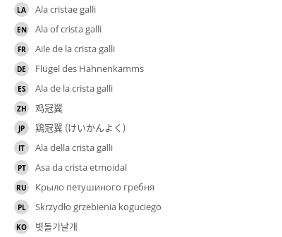 Translations