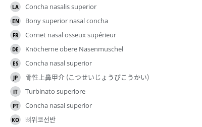 Translations