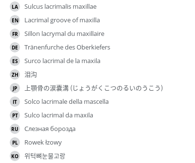Translations