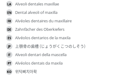 Translations