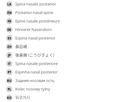 Translations