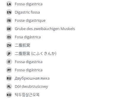 Translations