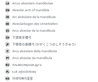 Translations