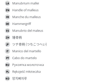Translations