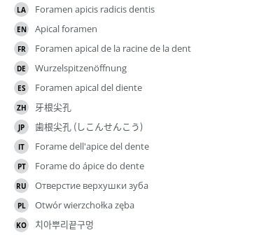 Translations