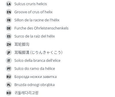 Translations