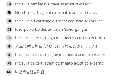 Translations