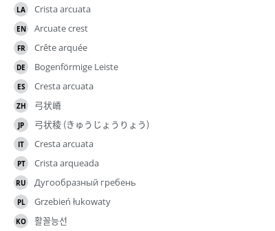 Translations