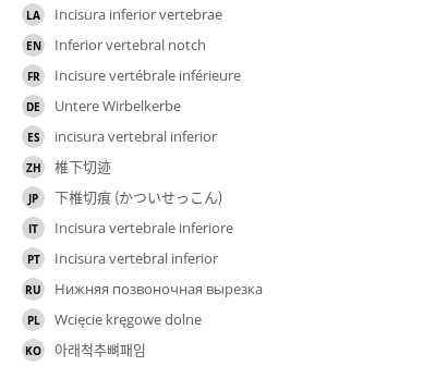 Translations