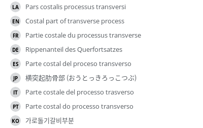 Translations