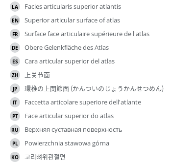 Translations