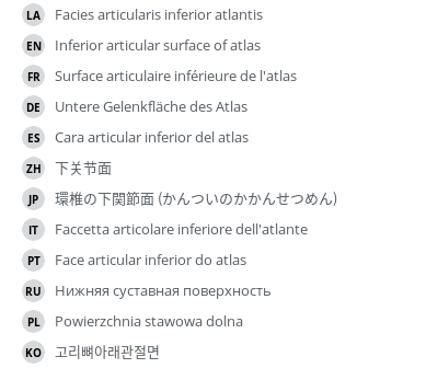 Translations