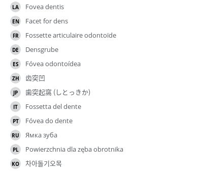 Translations