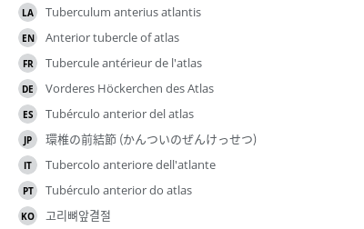 Translations