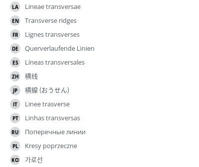 Translations