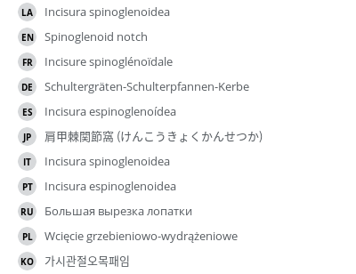 Translations