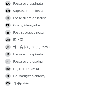 Translations