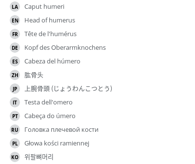 Translations