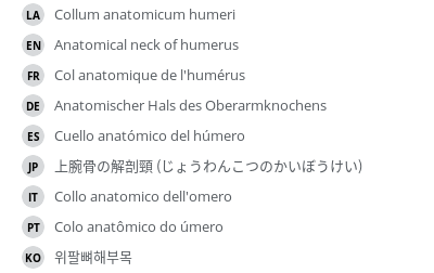 Translations