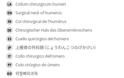Translations