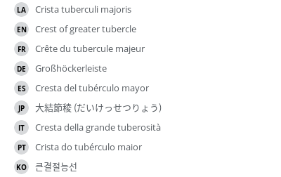 Translations