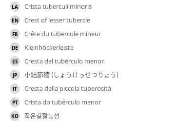 Translations
