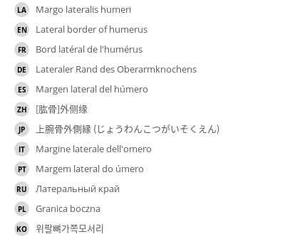 Translations
