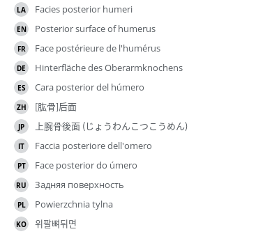 Translations