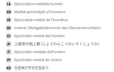 Translations