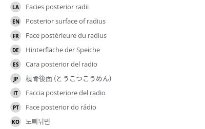 Translations