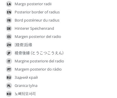 Translations
