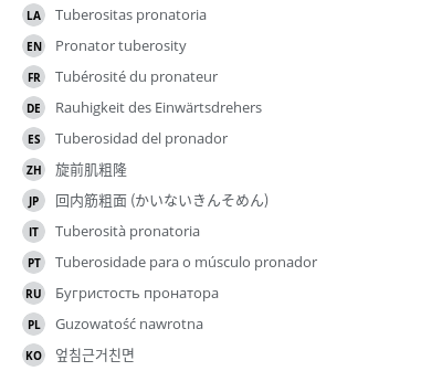 Translations