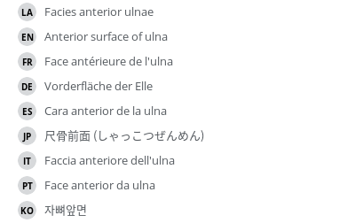 Translations
