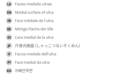 Translations