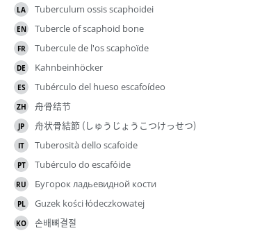 Translations