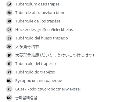 Translations