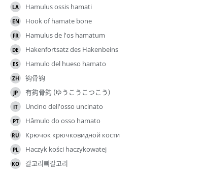 Translations
