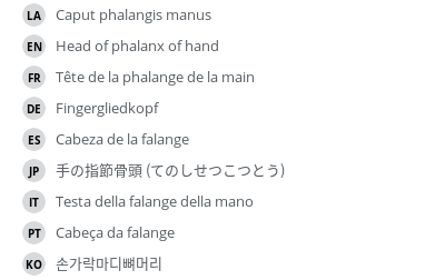 Translations