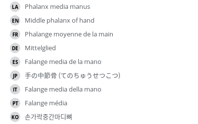 Translations