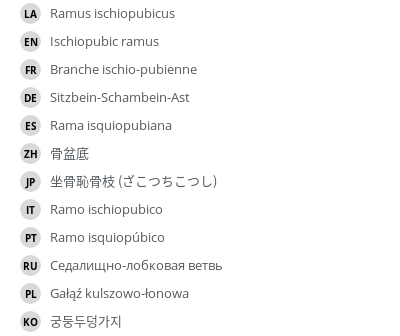 Translations