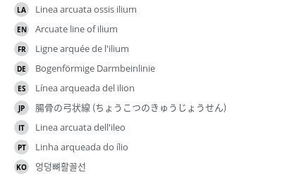 Translations